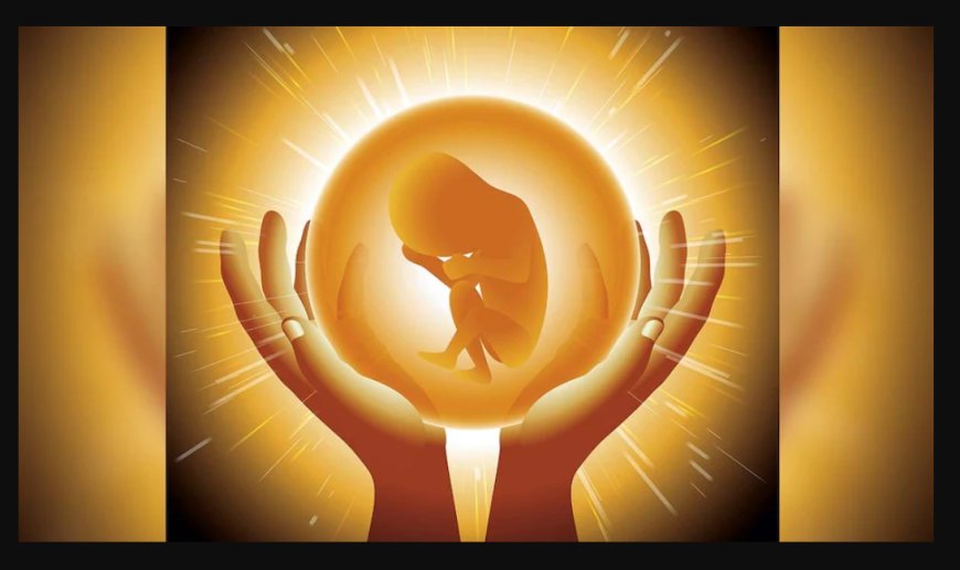 हर कोई जानना चाहता है कि उसका जन्म क्यों हुआ है।